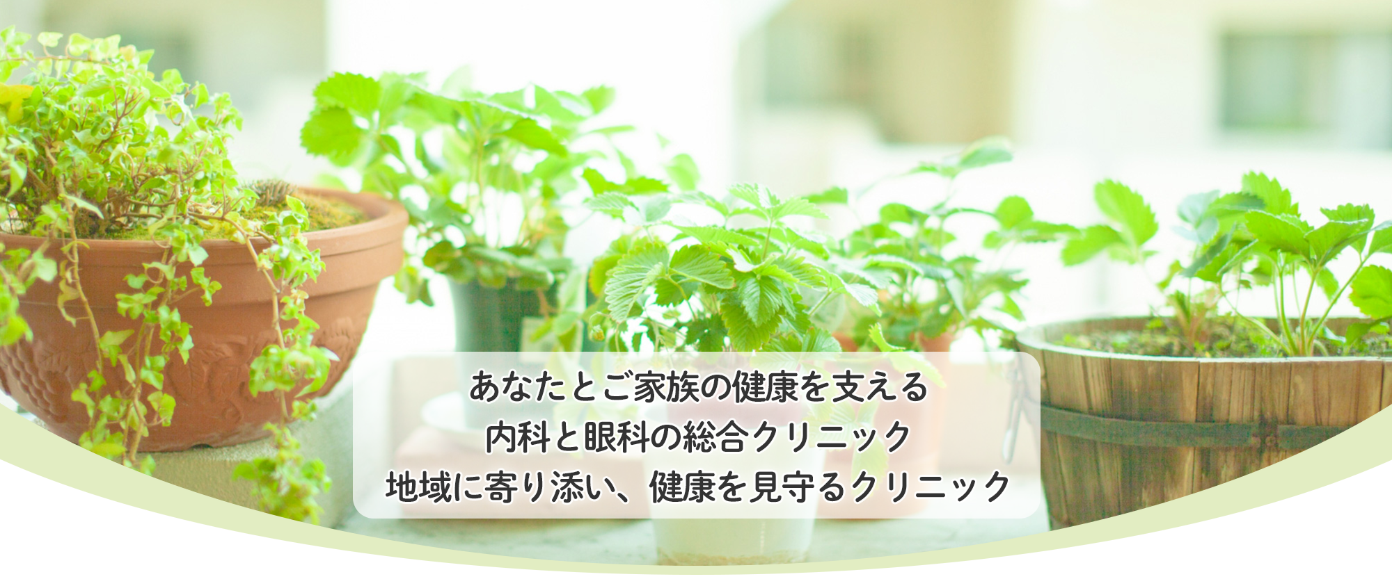 広島市南区丹那町、丹那町停留所、内科、眼科